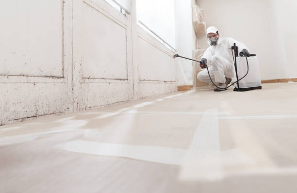 24/7 Emergency Mold Cleanup experts in Stevenson, WA
